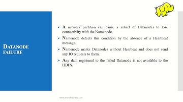 Concept 25 Datanode and Heartbeat