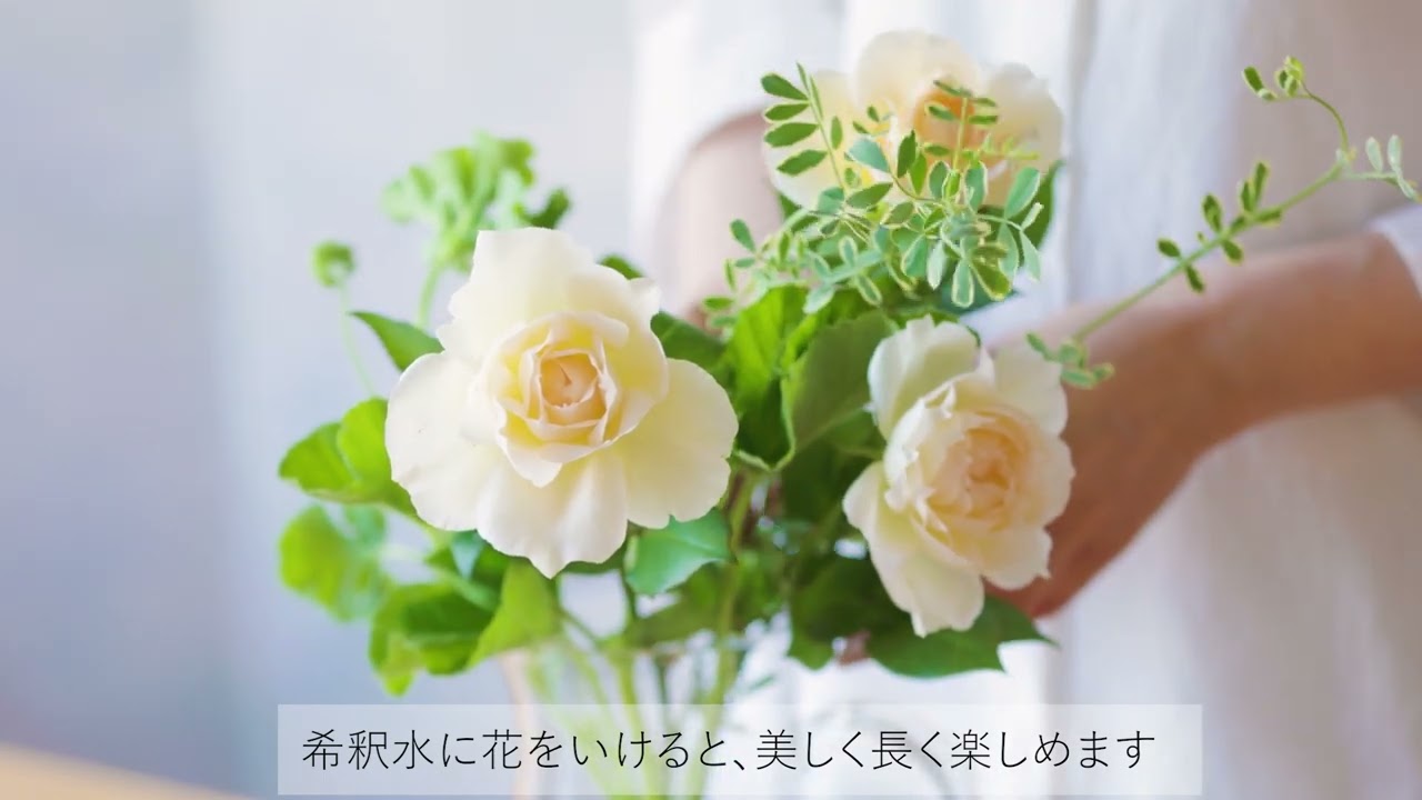 お値下げ済み即決価格✧　青山フラワー✧　エダベース✧ 試しのみの新品同様 青山フラワーマーケット/EDAベースL | 青山フラワーマーケット｜花束