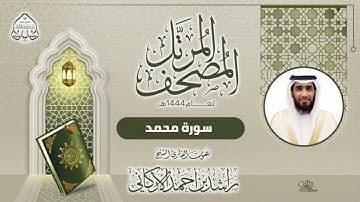 سورة محمد بصوت القارئ راشد الأركاني