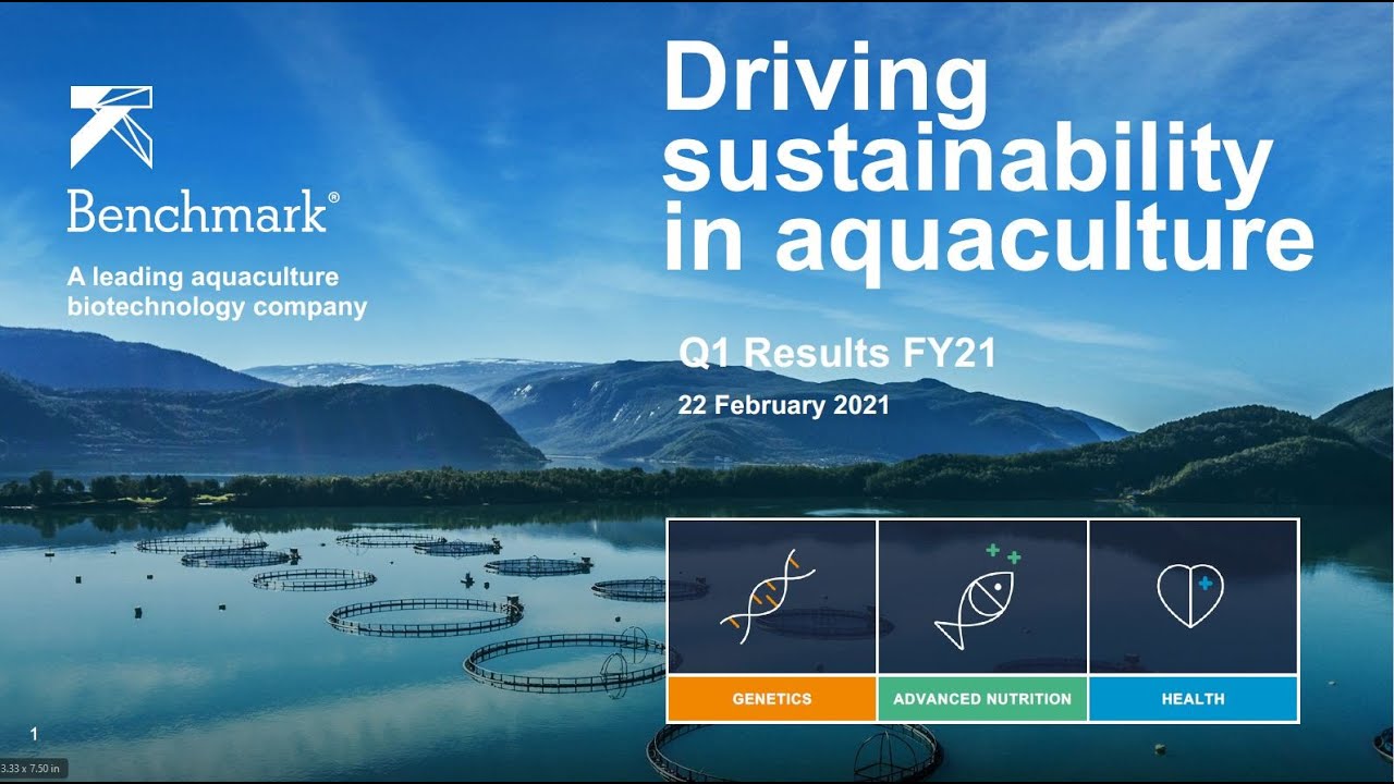 Investors Benchmark Holdings Plc Lon Bmk