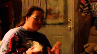 DSCF0195.AVI