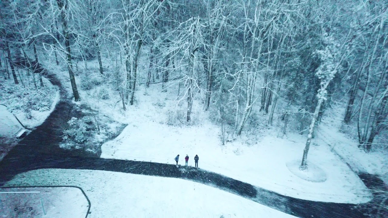 Bellevue Snow Day GhatGurus YouTube