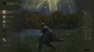 *Elden Ring* how to summon Torrent! screenshot 5