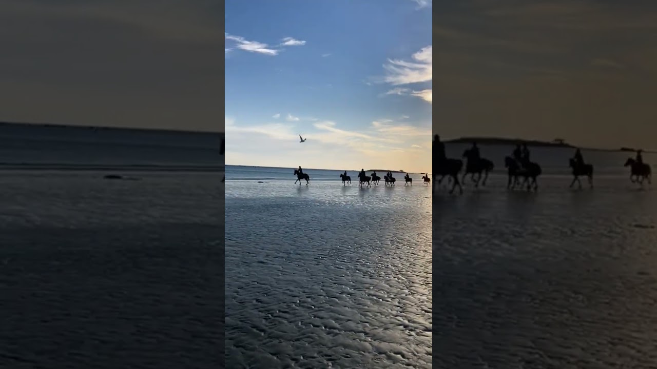 galop sur la plage