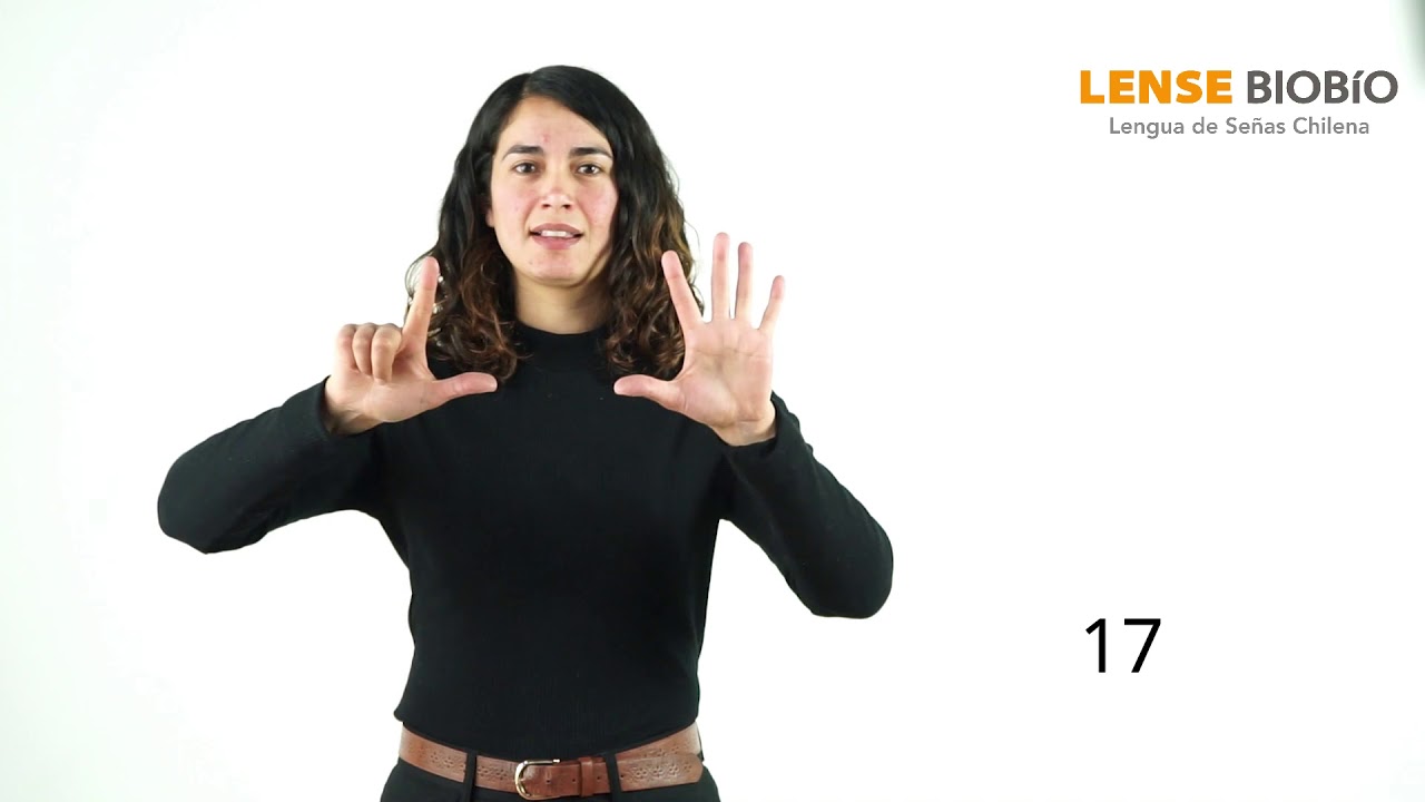 Números 0 a 100 LSCh