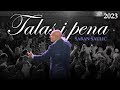 Šaban Šaulić Talas I Pena Official Audio