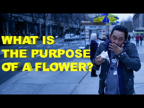 David Choe: Hot Dogs, Purpose, Flowers, and Integration