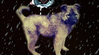Щенок 😭 жалко. Щенок 😭 жалко.