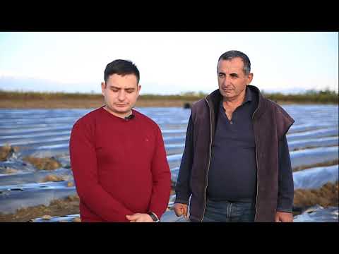 სადემონსტრაციო ნაკვეთი დასავლეთი საქართველო 03,11,2019