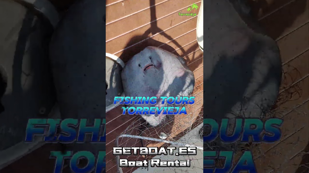 Fishing Tours Torrevieja Costa Blanca Spain GetBoat.es 2025