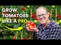 5 secrets to growing amazing tomatoes that really work