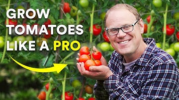 5 Secrets to Growing Amazing Tomatoes (That Really Work)