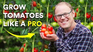 5 secrets to growing amazing tomatoes (that really work)