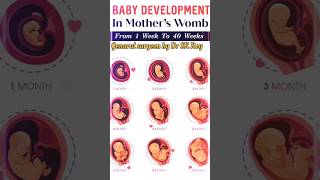 Fetal Development 3dAnimation infuse Medical|| Baby Development in Mother Womb shortspregnancytest