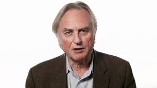Is Sex Irrational? | Richard Dawkins | Big Think
