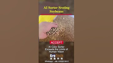 Amazing AI Sorter! Soybean Color Sorting Process 🚀