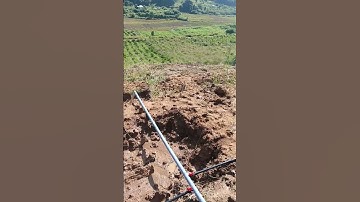 Cách tưới địa hình đồi dốc bằng ống mềm, béc bọ #hethongtuoitudong #ongmem #ongxep