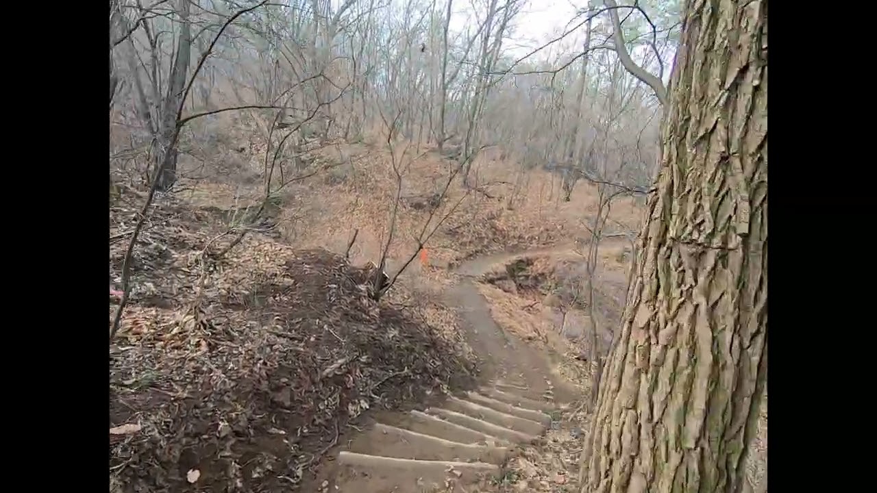 서울 둘레길 탐방1- 대모산~매헌시민의 숲 둘레길