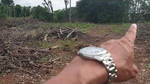 NVT1216 (Đã bán) Bán lô đất dt 2900m2 nhìn hồ Sông Ray chiều ngang tới 50m giá TỐT