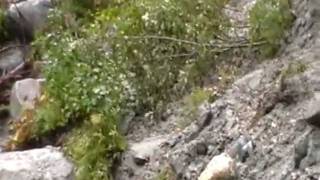 HURRICANE IRENE FLOOD DAMAGE JAMAICA VERMONT OLD RT 8 ROAD IS JUST GONE 30 FOOT DROP TO NOWHERE.MOD