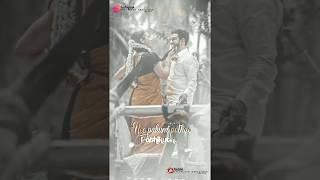 Valayapatti Thavile Song Whatsapp Status Tamilazhagiya Tamil Maganromanticdl Creations