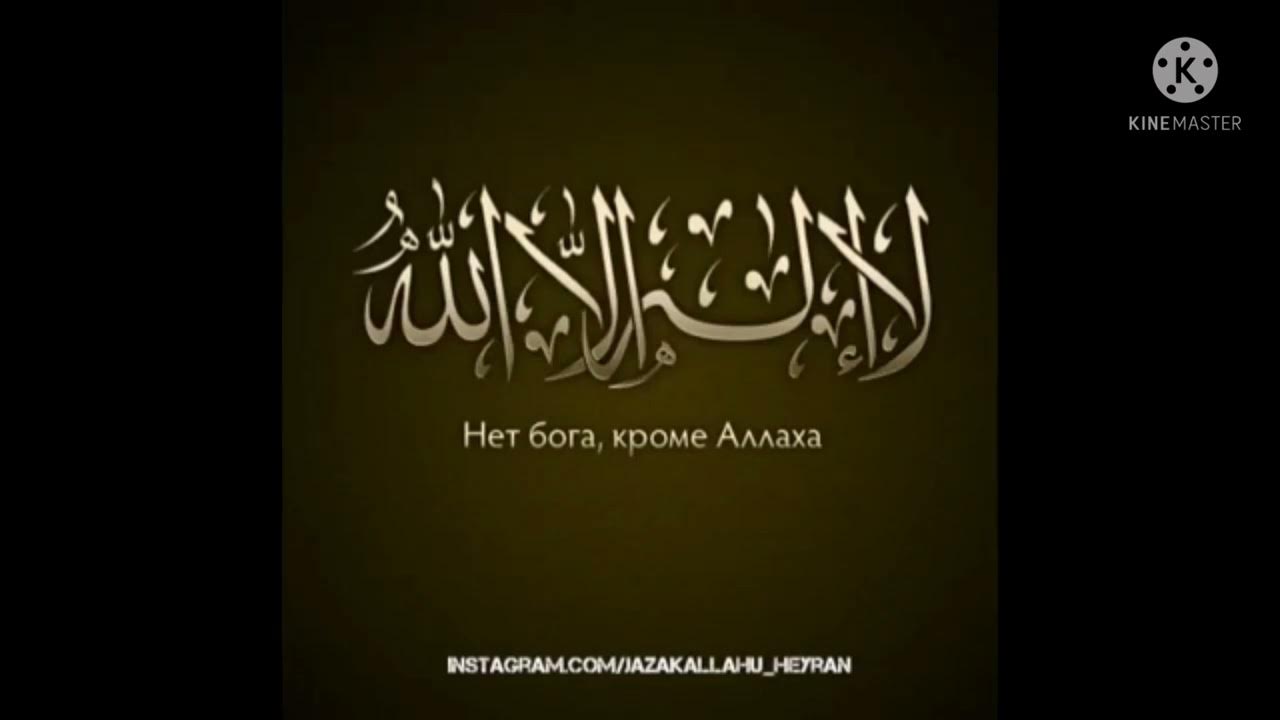 шахада смерть. аш шахада. шахада транскрипция. шахада транскрипция. шахада транскрипция.