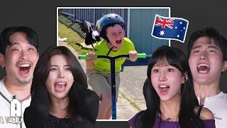 Koreans React to 'Aussies Are Built Different'