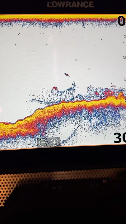 #lowrance #lowrancefishing Best #fishfinder HDS PRO 12” HD Active Imaging #fishing #boating #sonar