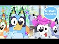 Saison 3 Épisodes Complets Bluey Français Chaîne Officielle 