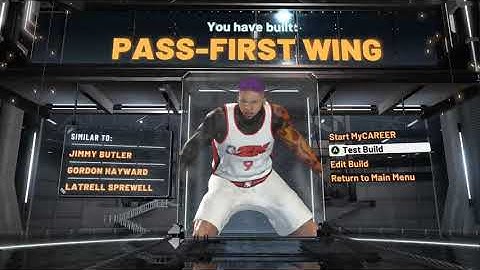 HOW TO MAKE THE BEST SMALL FORWARD BUILD IN NBA2K20! DOMINANT PASS FIRST WING!