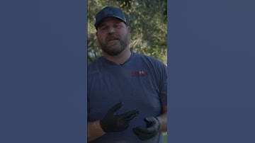 How to Clean a Soft-Shell Crab