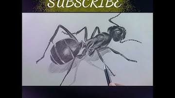 Ant Drawing with speed #shorts