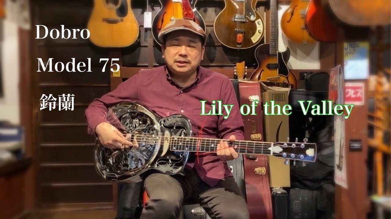 激レア！OMI製 DOBRO model114？ ラウンドネック リゾネーター 激レア！OMI製 DOBRO model114？ ラウンドネック リゾネーター