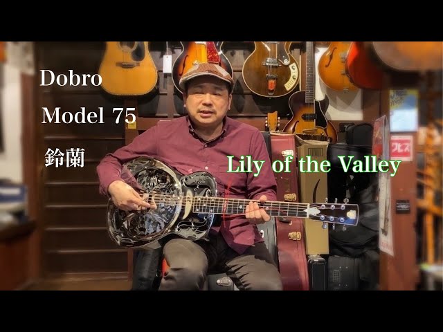 激レア！OMI製 DOBRO model114？ ラウンドネック リゾネーター 激レア！OMI製 DOBRO model114？ ラウンドネック リゾネーター