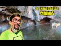 📍🦅🐓CHARCO DE LAS PALOMAS 🐓🦅📍---💎 TEJEDA💎---🌳🌲 (SENDERISMO CANARIAS)🌲🌳