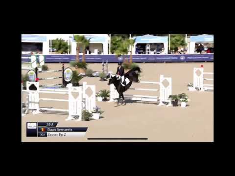 Zepter PP 145 CSI2* St Tropez