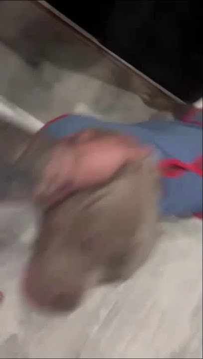 youtube.com