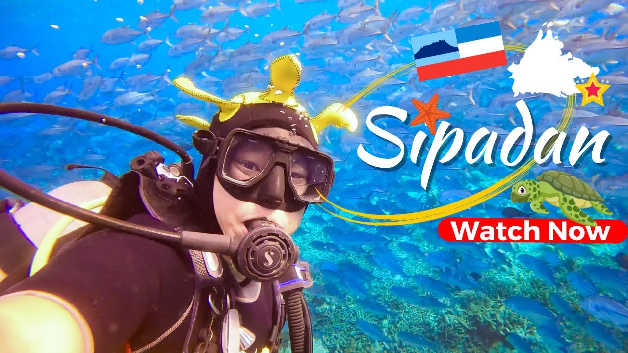 🩵🪸❤️I Experienced once in a lifetime Diving Heaven in Sipadan, Malaysia! 🤯