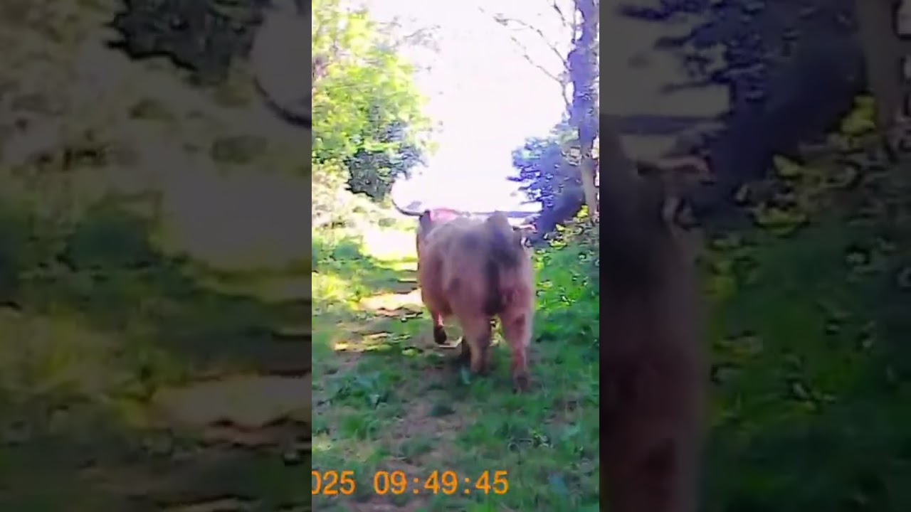 Went For A Ride And Had A Surprise