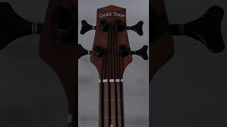 M-bass FL Giveaway
