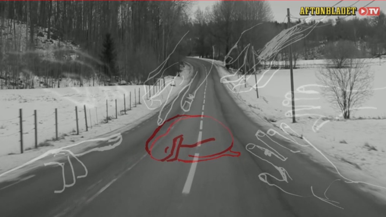 Så skapades ”Sveriges farligaste flicka”