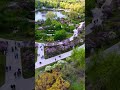 Discover Harbin's Iconic Lilac Blossom Festival