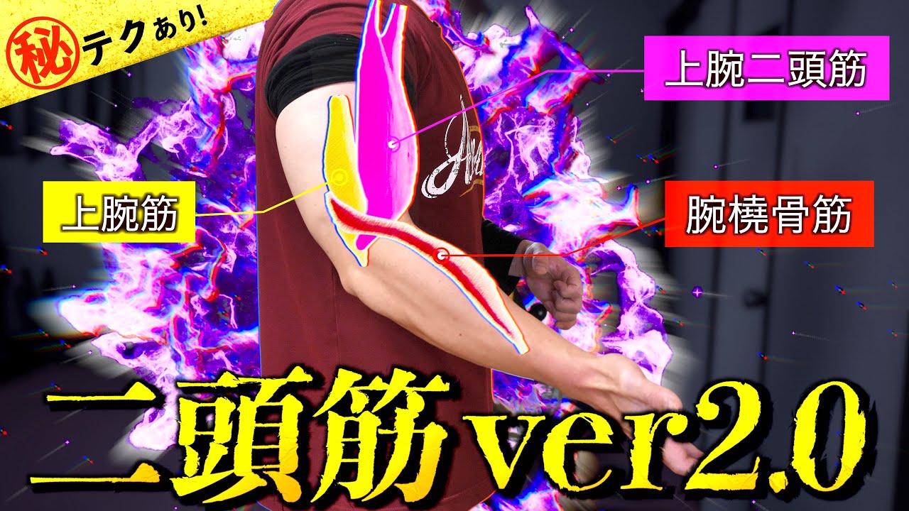 【筋トレ】上腕二頭筋に関する重要なアップデート！　挙げ方・可動域・持ち方について。