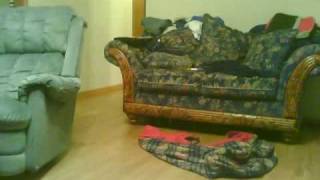 Capture 20090307