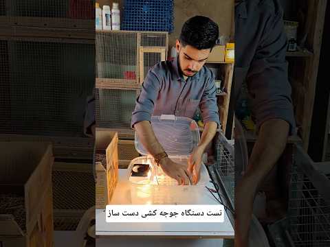 تست دستگاه جوجه کشی