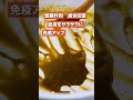 梅の栄養もすっぱさも凝縮したスーパーエキスです😍 #うめしごと#梅#梅エキス #梅仕事