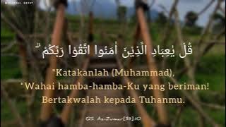 Az Zumar ayat 10 || Miftachul Barry