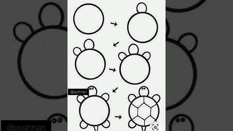How to draw turtle🐢with circle shape