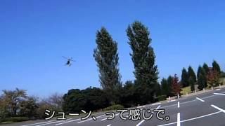 Funcopter mod.Flymenter 3D.