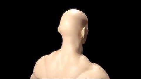 V-Ray Alsurface shader turntable test on Mr Groleau